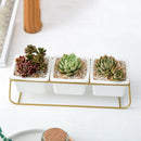 Nordic Simple Wrought Iron Flower Pot Set Three Pots One Shelf Square Ceram D4J2