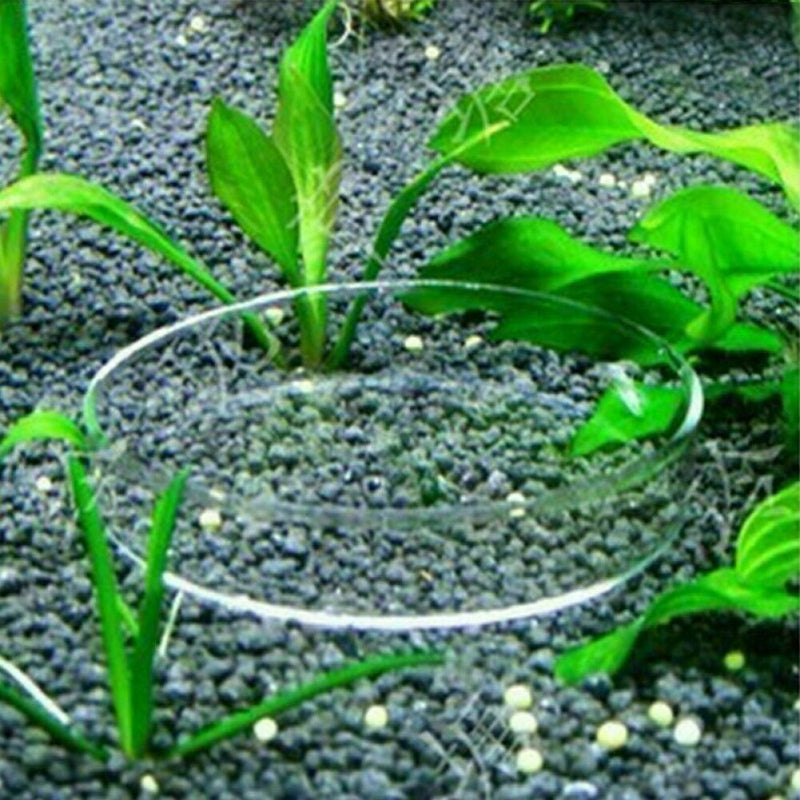 Portable Aquarium Fish Tank Clear Acrylic Shrimp Feeding Dish Feeder Nice H Z7H3