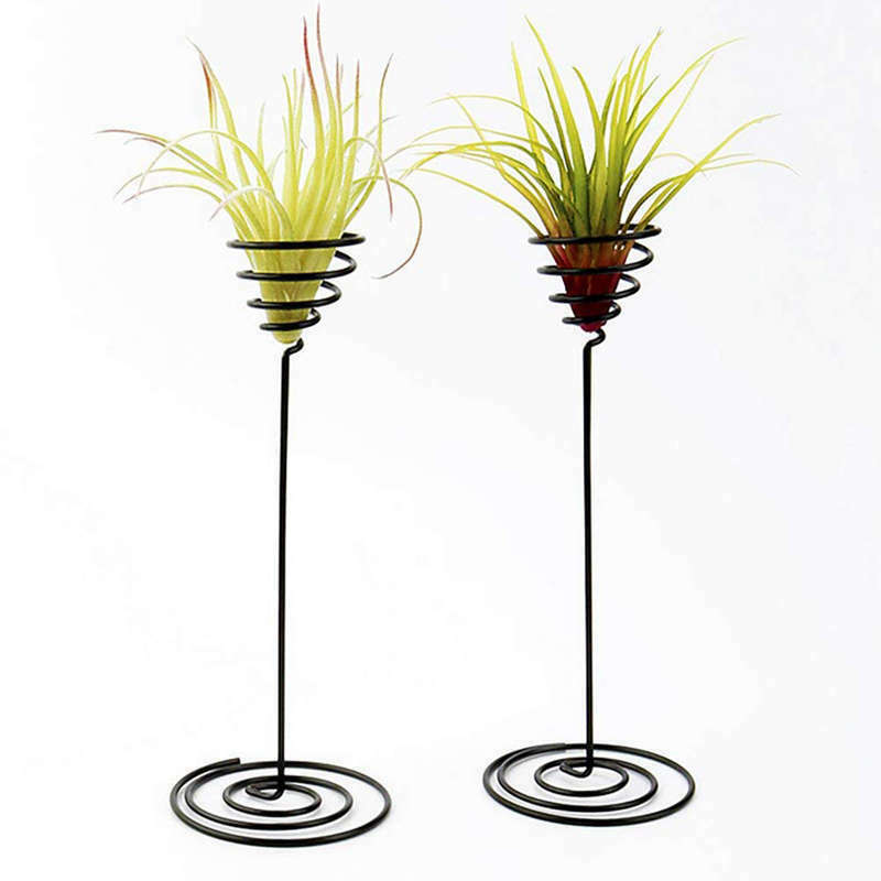 Air Plant Stand Holder Air Plant Base Container Tabletop Planter Tillandsia
