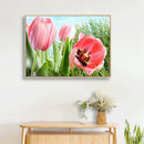 Flower 5D DIY Full Round Drill Diamond Painting Mosaic Canvas Beadwork Kits