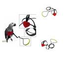 Adjustable Parrot Bird Harness Leash Anti-Bite