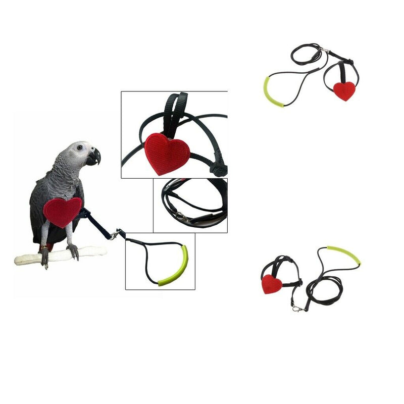 Adjustable Parrot Bird Harness Leash Anti-Bite