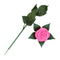 Rose Romantic Outdoor Yard Garden Path Way Tulip Bar Landscape Flower Night