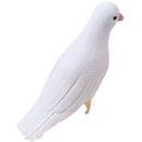 Surprise Stage Magic Tricks Simulation Lifelike Pigeons Magic Tricks Props ToME