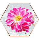 5D DIY Full Drill Diamond Painting Flower Hexagon Cross Stitch Embroidery(1