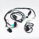 Full Electrics Wiring Harness Coil CDI 50-110CC ATV Quad Bike Buggy Go Kart