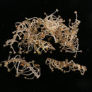 10pcs 2.6cm Carp Fishing Bait Stops Boilie Stoppers for Hair Rig Boilie Bait