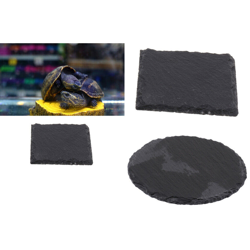 2Pcs Turtle Tortoise Dish for Reptile Amphibians Food Bowl Natural Rock Plate