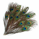 10PCS Real Natural Peacock Tail Eyes Feathers 8-12 Inches /about 23-30cm New