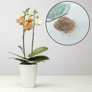 Soil Sterilization To prevent Orchid Chrysanthemum New Decomposition Z1K5