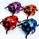 Inflatable Ladybug, 19inch Party Decoration Birthday Gift