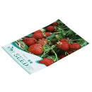 30-in-1 red strawberry seeds