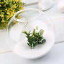 1Pc High Glass Hanging Flower Planter Vase Terrarium Container Home Garden