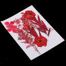 6 Kinds Pressed Press Dried Flower Real Dried Flower Plant Specimen For