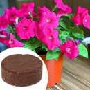 Reptile Coconut Fiber Substrate Bricks Natural Beddings New soil Nutrient I0C2