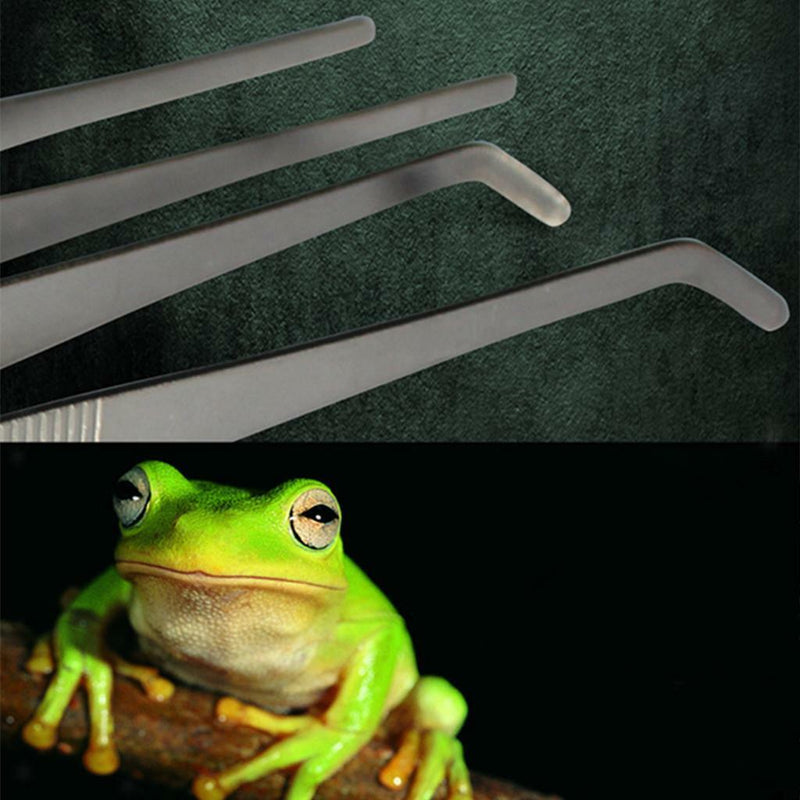 Straight 30cm Small Animal Feeding Tweezers Tongs Forceps