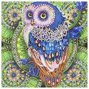 5D DIY Special Shaped Diamond Painting Owl Cross Stitch Mosaic Kit (R112)
