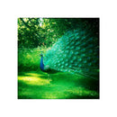 DIY Diamond Painting Embroidery Forest Peacock Bird Cross Stitch Kit Decor