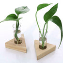 2pcs Crystal Glass Test Tube Holder in Wooden Stand Vase for Hydroponic Plants