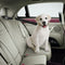 Dog Cat Pet Safety Adjustable Car Seat Belt Harness Leash Travel Clip Strap