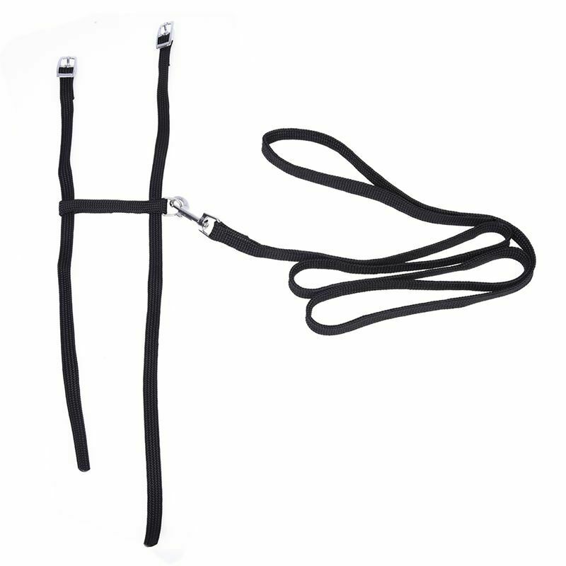 Leash collar + ADJUSTABLE NYLON HARNESS FOR CAT KITTEN Length 1.2m - Black