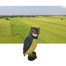 Realistic Owl Decoy Garden Protection Repellent Bird Scarer Control Scarecrow