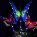 Solar Powered LED Light Color Change Butterfly Bird with Ground Spike Garden