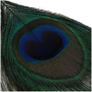 1 Pair Peacock Multicolor Feather Fashion Dangle Earrings