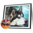5D Diamond Painting Full Drill Dog Head DIY Cross Stitch Pictures (WB032) A
