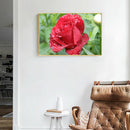 5D DIY Diamond Painting Flower Full Round Drill Canvas Wall Picture (A914)