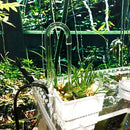 5 Pcs Transparent Acrylic Thickened Elbow Tube for Aquarium 1x15cm