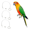 3x Parrot Stainless Steel Eight Rings Anklet Animal Bird Cockatiel