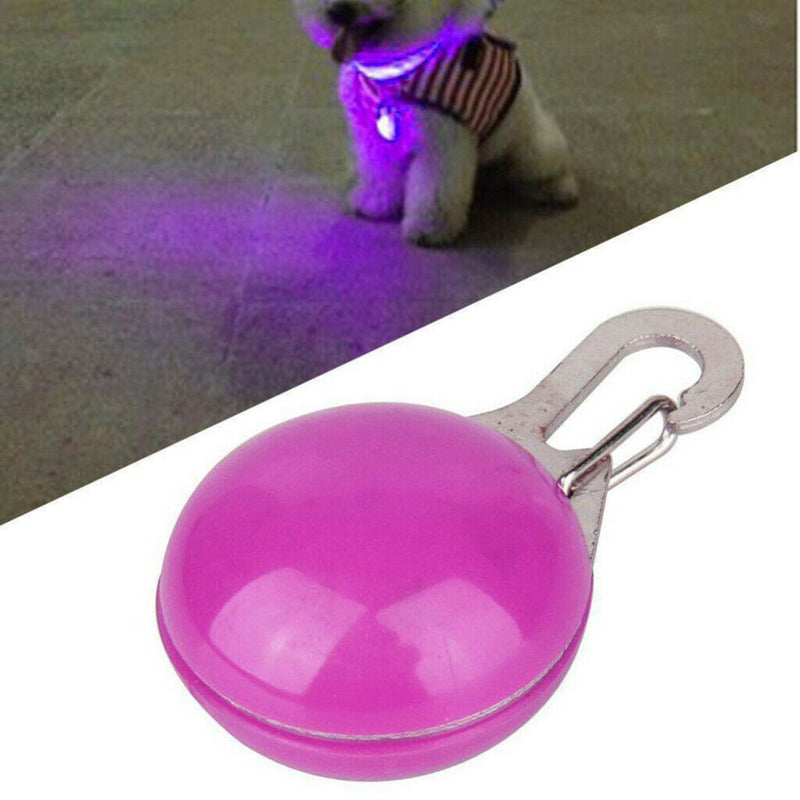 2Pcs Pet Dog Cat Safety LED Clip Buckle Night Light Decor Bulb Collar
