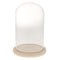 Glass Display Dome Cloche Bell Jar With Wooden Base for DIY Decoration #F