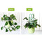 Garden Trellis For Climbing Plants, Leaf Shape Potted Plant Support Vines V