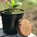 Reptile Coconut Fiber Substrate Bricks Natural Beddings New soil Nutrient I0C2