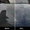 Carnauba Car Wax Crystal Hard Paint Care Scratch Repair Maintenance Surface Coat