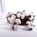 6Pcs Natural Cotton Head Artificial Dried flowers Xmas Diy Garland Wreath DecTO