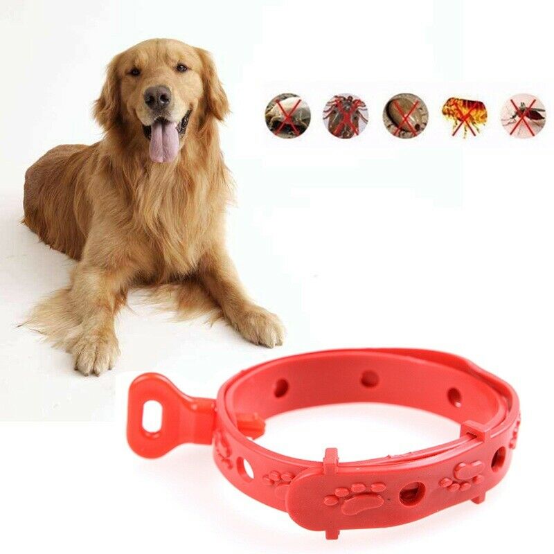 Cute Soft Pet Outdoor Protection Anti Mosquito Kill Flea Silicone Dogs Cats