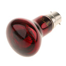 2Pcs B22 Reptile Heat Basking Lamp UVA Heater Glass Heat Emitter 220V 60W