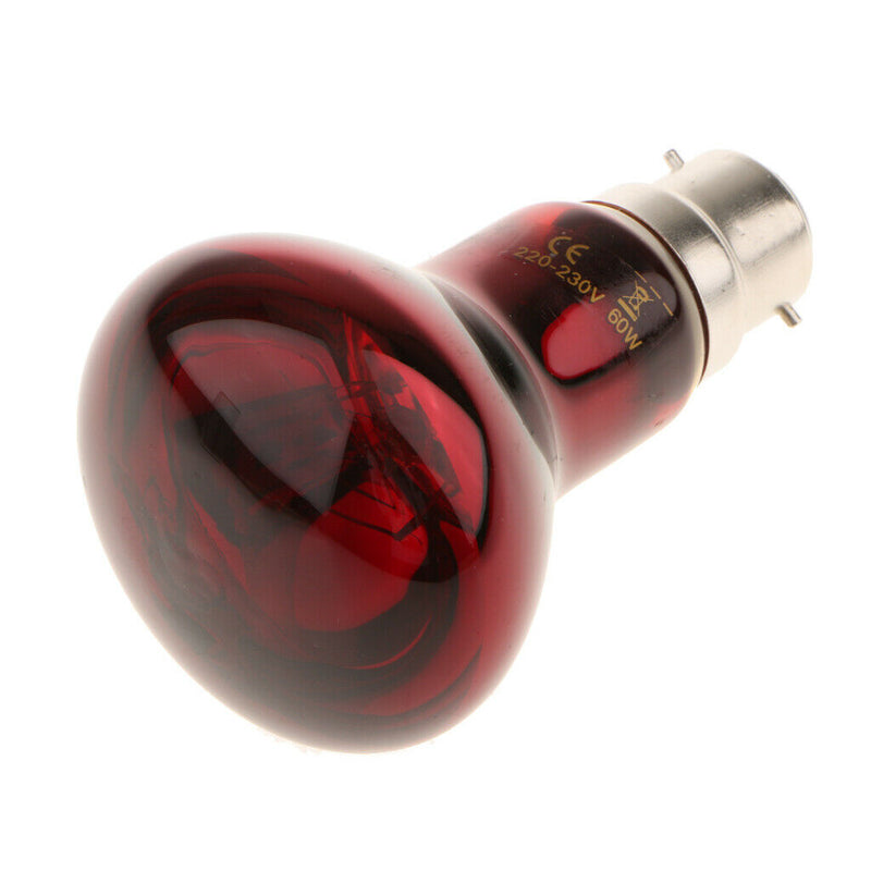 2Pcs B22 Reptile Heat Basking Lamp UVA Heater Glass Heat Emitter 220V 60W