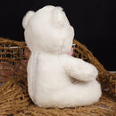 1X Light Up Glow Pillow Soft Cosy Relax Cushion Bear Plush Stuffed Bear-2018