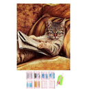Glasses Cat Lying On The Sofa Reading Book,Diy Diamond Embroidery,5d,Cat,Di B3C3