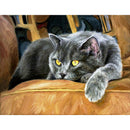 DIY Animal 5D Full Square Drill Diamond Painting Cross Stitch Gift (NF0155) A