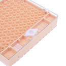Queen Foster Box Yellow Plastic Box Bee Bee with Tools