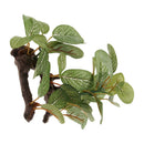 Reptile DecorationOrnament, Aquarium Decor Fish Tank Artificial Grass Plants for