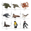 10 Pack Mini Ocean Animal Figures, Plastic Educational Sea Creature Toys