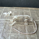 Skeleton Rat Plastic Animal Skeleton Bones for Horror Halloween Decor ME