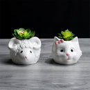 Cute Cat Pattern Ceramic Flower Pot  Succulents Cactus Plants Mini Pot Planter Z