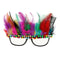 Fun Colorful Feather Rhinestone Glasses Specs Beach Cocktail Party Eyeglasses